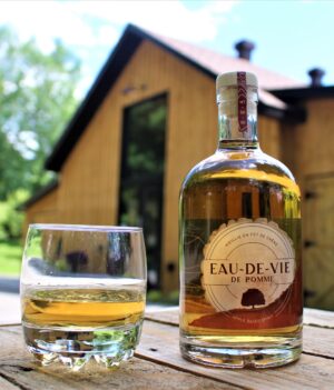 IMG_7729 (2) IMG_7729 (2)